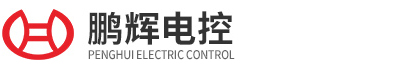 鹏辉电控动力科技（东莞）有限公司